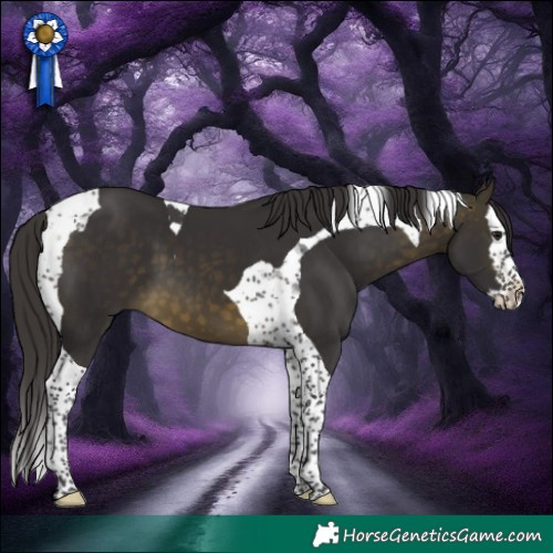 Horse Color:Buckskin Splash Tobiano 