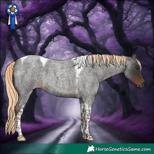 Horse Color:Liver Red Roan Tobiano 