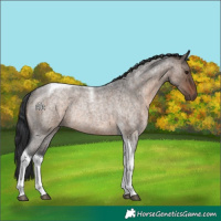 Horse Color:Brown Roan Dun Tobiano Rabicano 