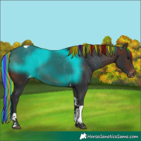 Horse Color:Painted Brown Tobiano Varnish