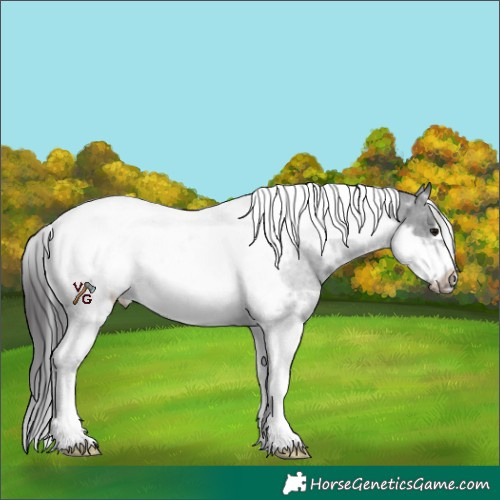 Horse Color:White Spotted Black Tobiano Frame Appaloosa Rabicano 
