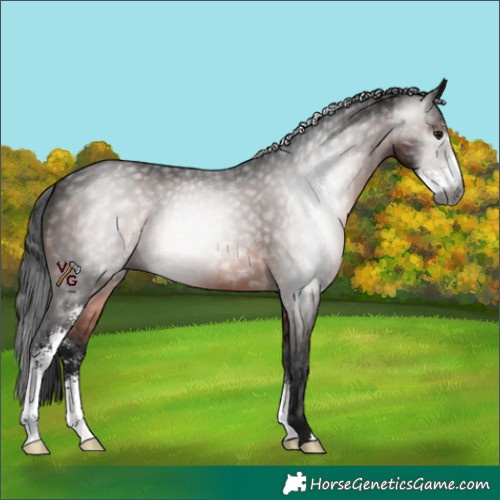 Horse Color:Gray Brown Sabino 