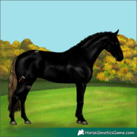Horse Color:Void Buckskin Dun Sabino Varnish 