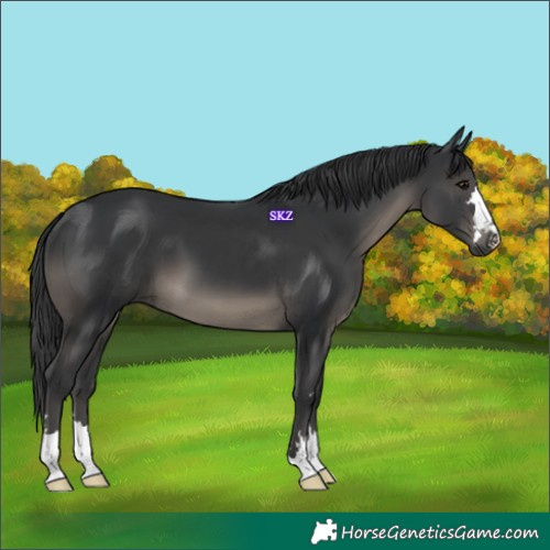 Horse Color:Black Mushroom 
