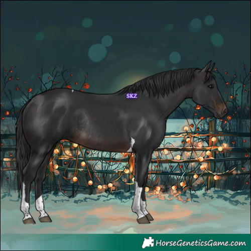 Horse Color:Brown Tobiano Rabicano 