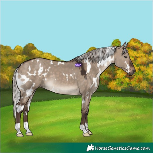 Horse Color:White Spotted Silver Brown Dun 