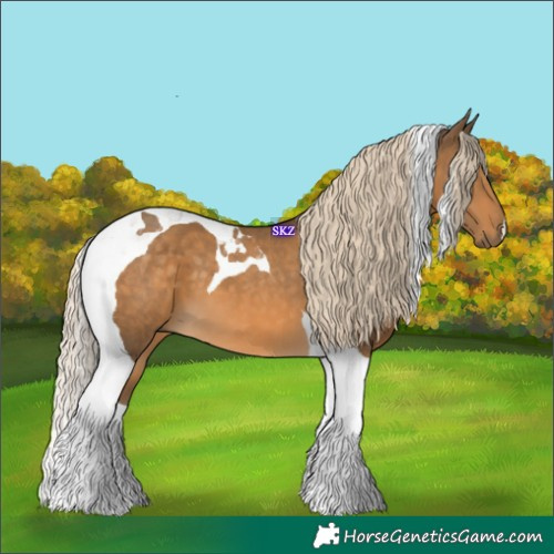 Horse Color:Chocolate Palomino Tobiano 