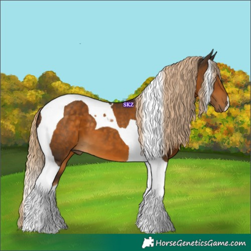 Horse Color:Chocolate Palomino Tobiano 