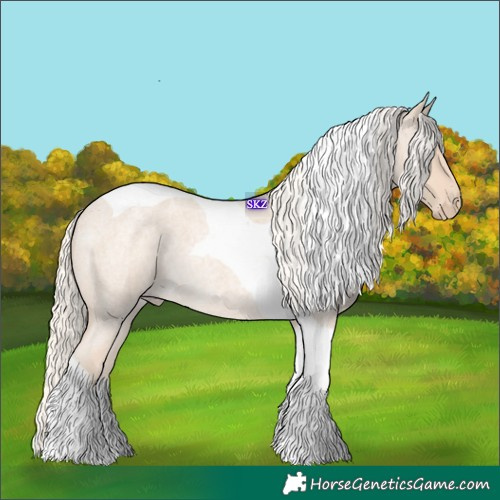 Horse Color:Cremello Roan Tobiano 