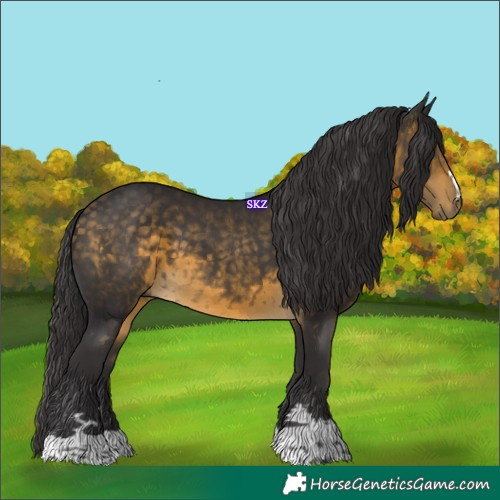 Horse Color:Buckskin 