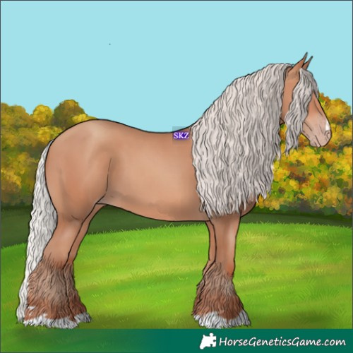 Horse Color:Silver Sable Champagne 