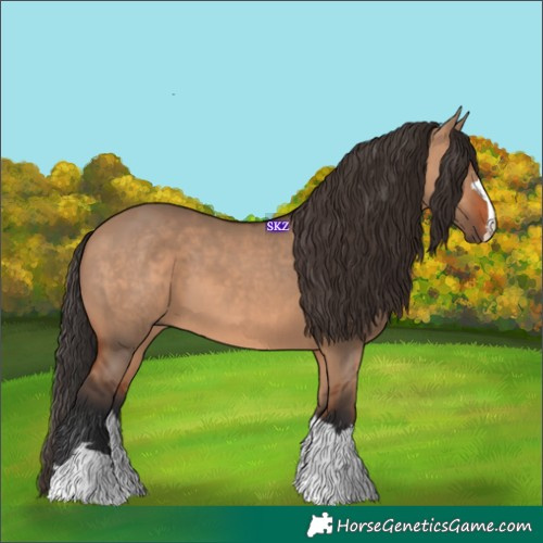 Horse Color:Bay Dun 