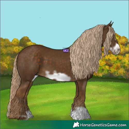 Horse Color:Chocolate Palomino Frame 
