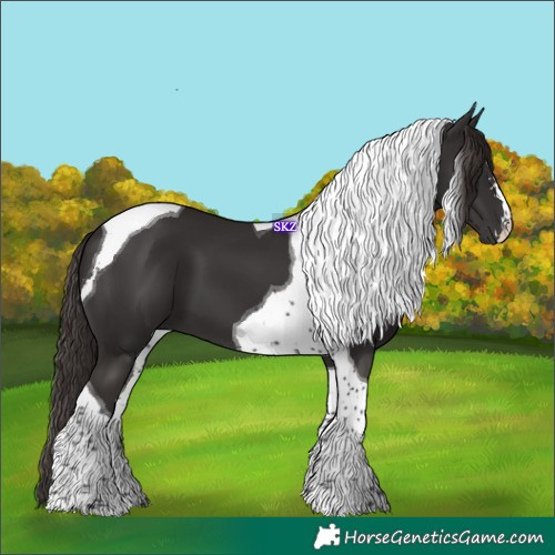 Horse Color:Liver Chestnut Tobiano 