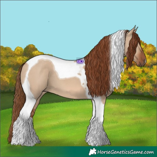 Horse Color:Red Dun Tobiano 