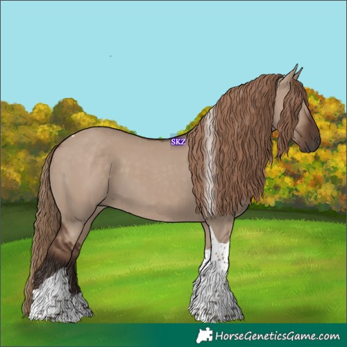 Horse Color:Liver Red Dun Tobiano 