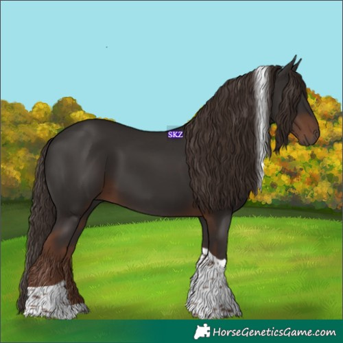 Horse Color:Liver Chestnut Tobiano 
