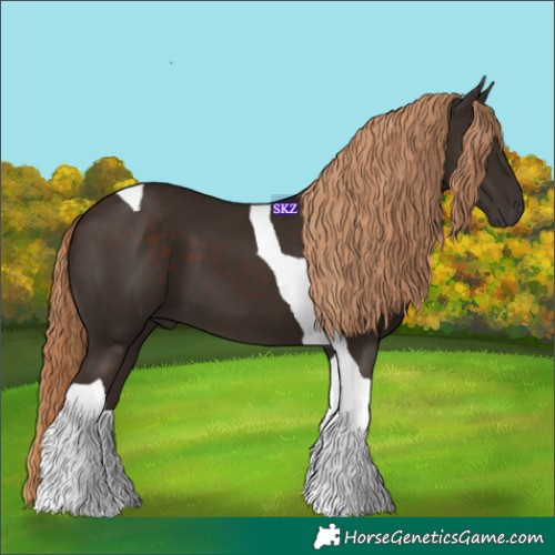 Horse Color:Liver Chestnut Tobiano 