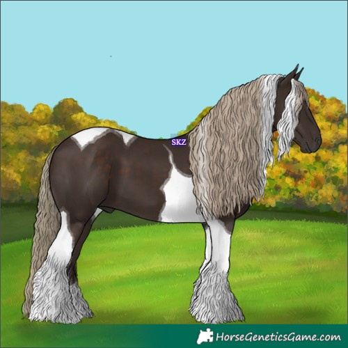 Horse Color:Liver Chestnut Tobiano 