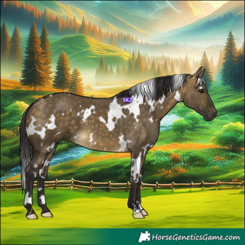 Horse Color:White Spotted Buckskin Dun 