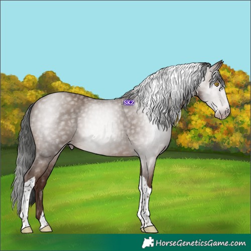 Horse Color:Gray Sable Champagne Tobiano 