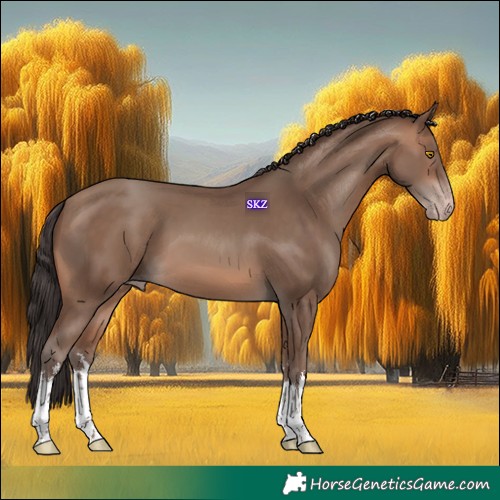 Horse Color:White Spotted Sable Champagne 