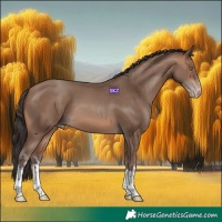 Horse Color:White Spotted Sable Champagne