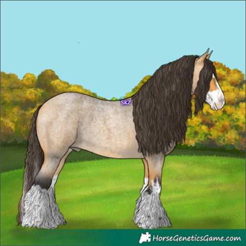 Horse Color:White Spotted Buckskin Roan Splash 