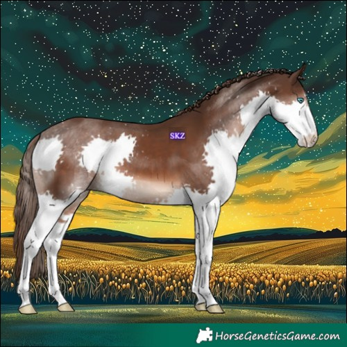 Horse Color:Liver Chestnut Splash 