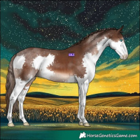 Horse Color:Liver Chestnut Splash 
