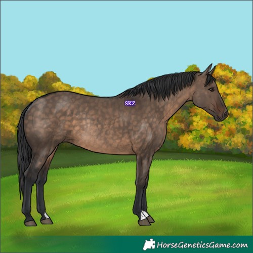 Horse Color:Brown Dun Rabicano 
