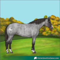 Horse Color:Smoky Blue Roan Varnish 