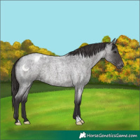 Horse Color:Smoky Blue Roan Blanket