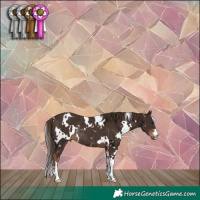 Horse Color:White Spotted Liver Chestnut Rabicano