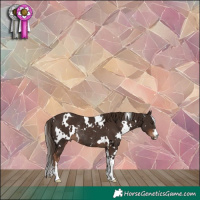 Horse Color:White Spotted Liver Chestnut Rabicano