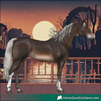Horse Color:Silver Brown Sabino Tobiano 