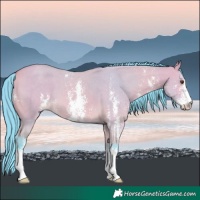 Horse Color:Watercolor Buckskin Dun Sabino 