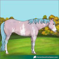 Horse Color:Watercolor Buckskin Dun Sabino 