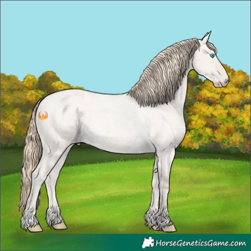 Horse Color:Smoky Creme Roan Dun 