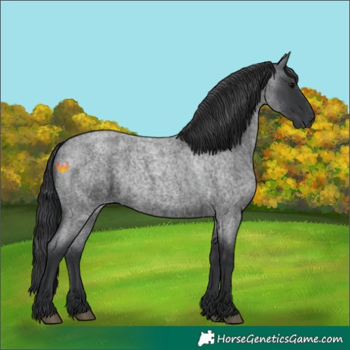 Horse Color:Blue Roan 