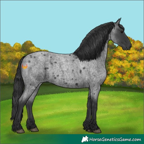 Horse Color:Blue Roan 