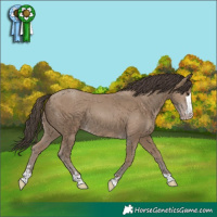 Horse Color:Classic Champagne 