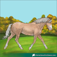 Horse Color:Silver Classic Champagne