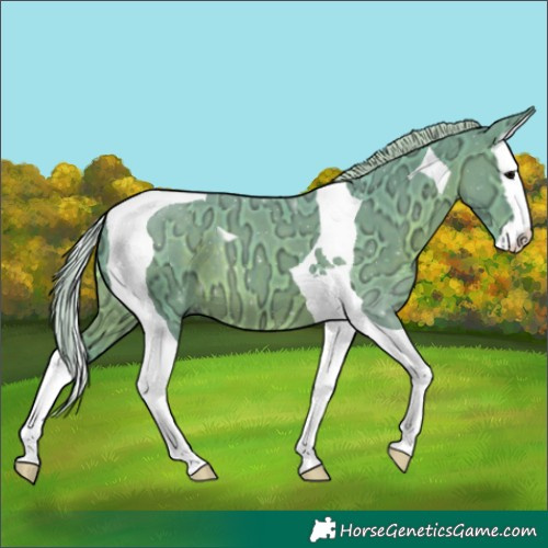 Horse Color:Watercolor Silver Black Ice Splash Tobiano 