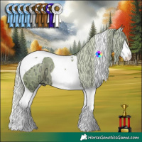Horse Color:Watercolor Silver Black Ice Splash Tobiano 