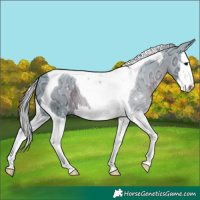 Horse Color:Watercolor Silver Black Ice Splash Tobiano 