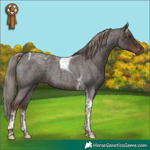 Horse Color:Liver Red Roan Mushroom Tobiano 