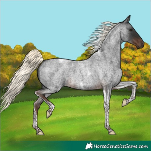 Horse Color:Liver Red Roan Mushroom Tobiano 