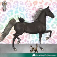 Horse Color:Liver Chestnut Mushroom Tobiano 