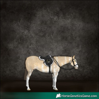 Horse Color:White Spotted Sable Cream Champagne Dun